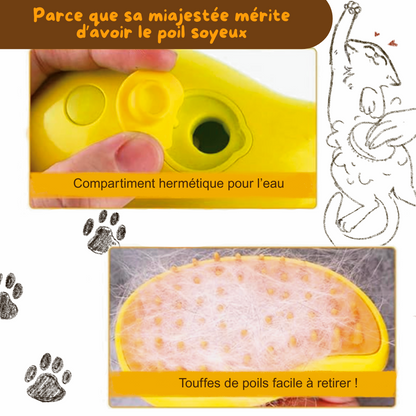 AquaBrush - Brosse à vapeur récolteuse de poils
