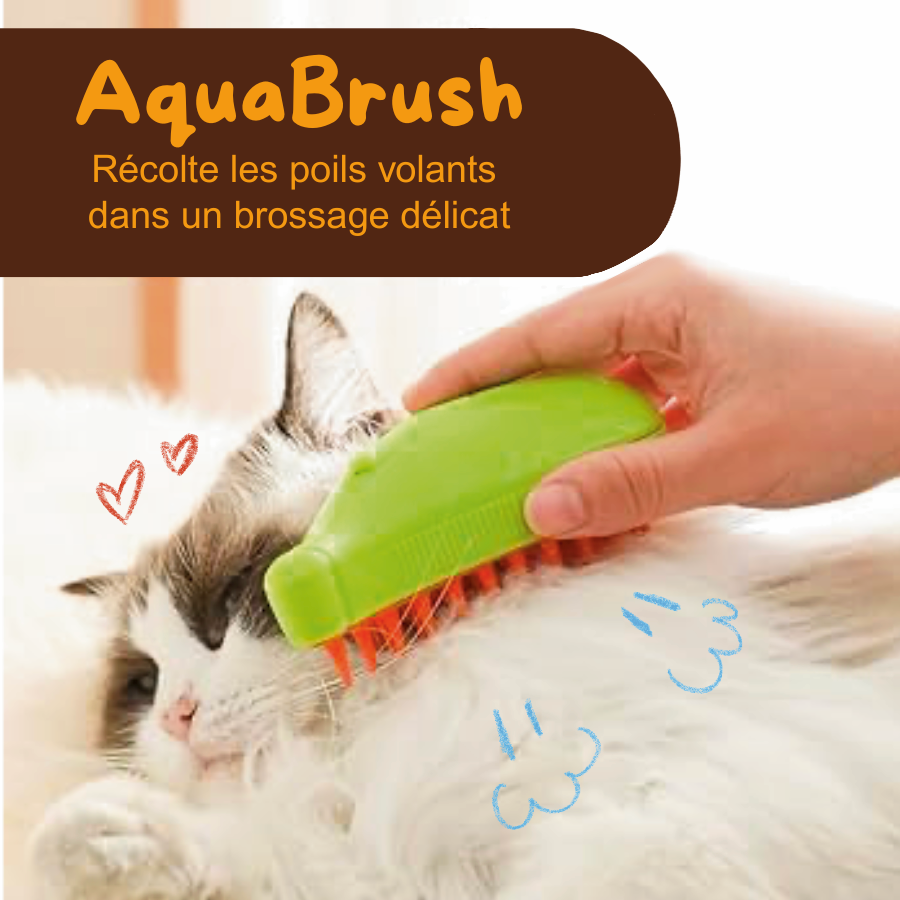 AquaBrush - Brosse à vapeur récolteuse de poils