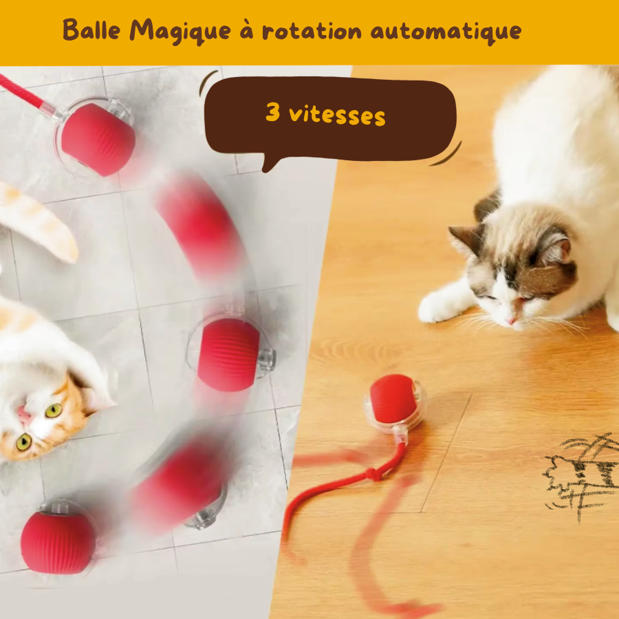 Balle Magique - Jouet intelligent pour chat d'intérieur
