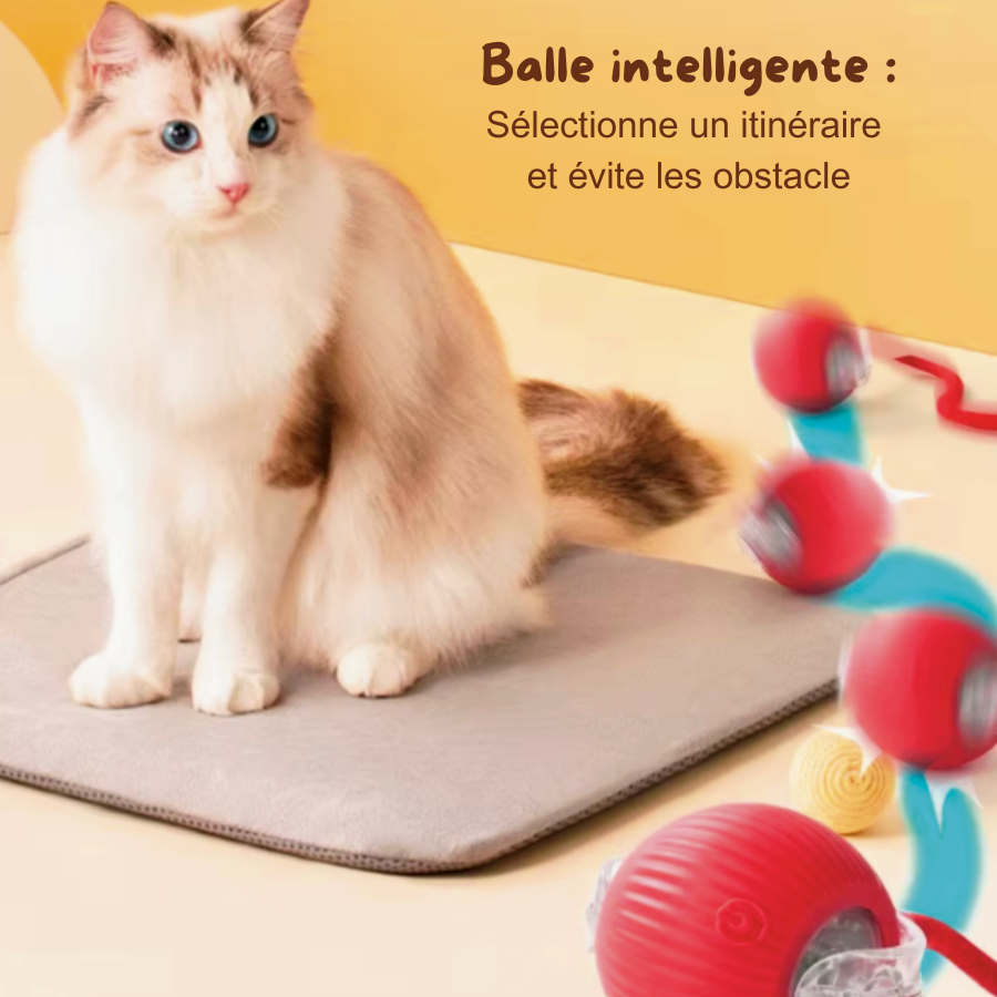 Balle Magique - Jouet intelligent pour chat d'intérieur