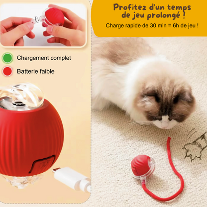 Balle Magique - Jouet intelligent pour chat d'intérieur