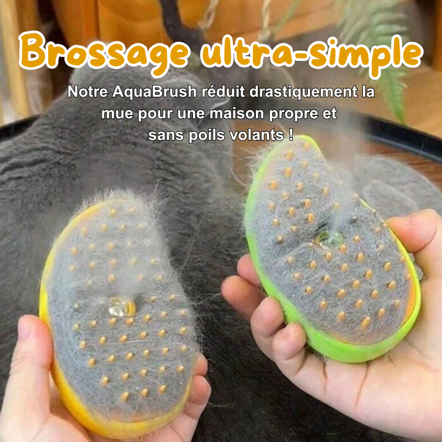 AquaBrush - Brosse à vapeur récolteuse de poils