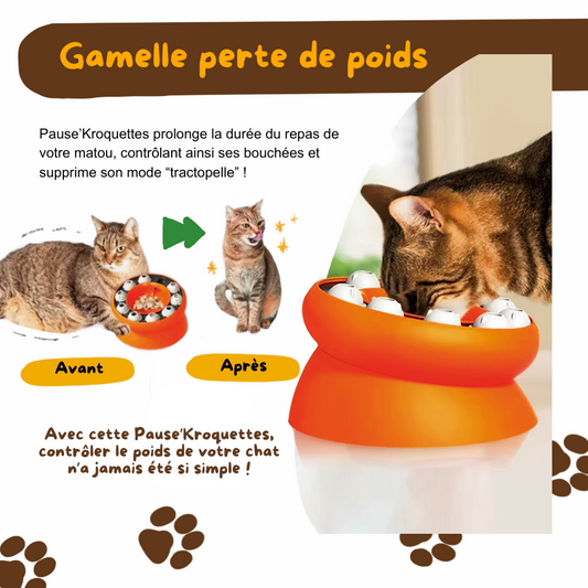 PAUSE'KROQUETTES™ - Gamelle ludique et anti-glouton