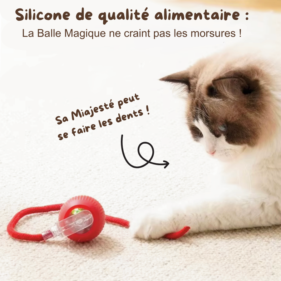 Balle Magique - Jouet intelligent pour chat d'intérieur