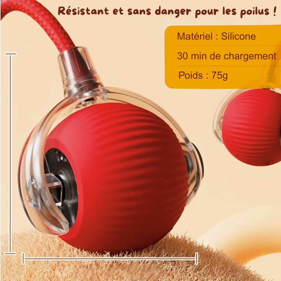 Balle Magique - Jouet intelligent pour chat d'intérieur