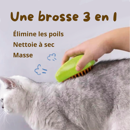 AquaBrush - Brosse à vapeur récolteuse de poils